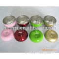 Apple shape stainless steel seasoning can